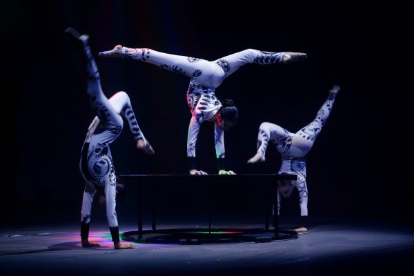 16 Show Natalino Mais incrível do Brasil No Instituto Beto Carrero