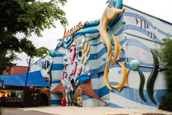 WhatsApp Image 2025-12-17 at 19.26.47 (1)