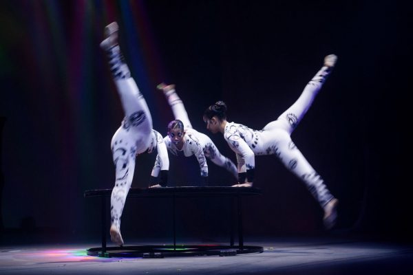 WhatsApp Image 2025-12-17 at 19.28.58 (1)